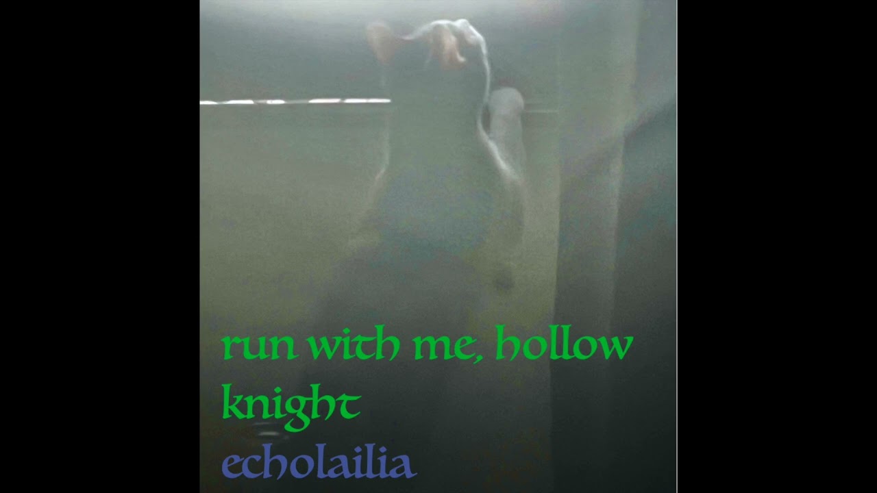 run with me, hollow knight - echolailia