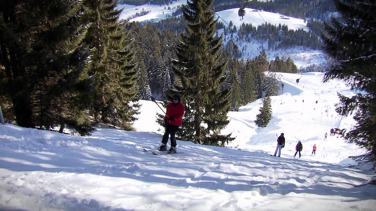 Doppelmayr Schlepplifte (2010)