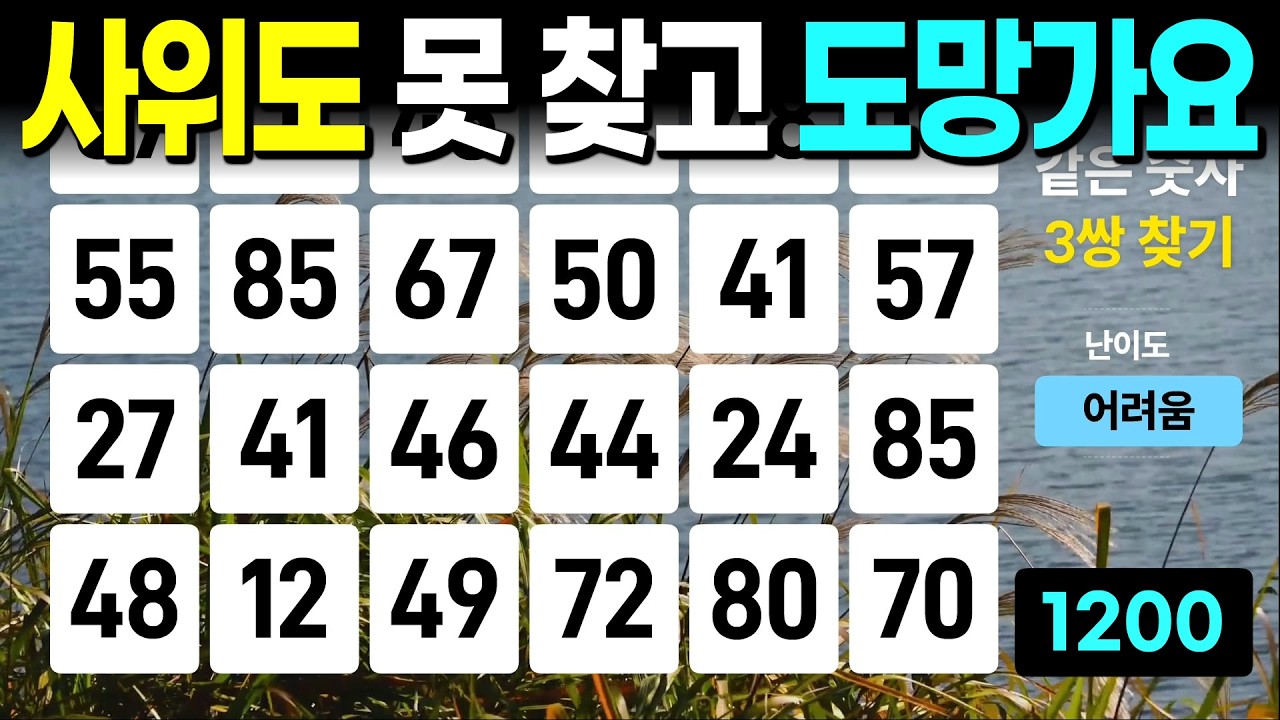 사위도 못 찾고 도망간 문제 - 같은숫자찾기, 치매예방퀴즈, 치매예방활동, 숫자퀴즈, 숫자찾기, 단어퀴즈, 치매테스트