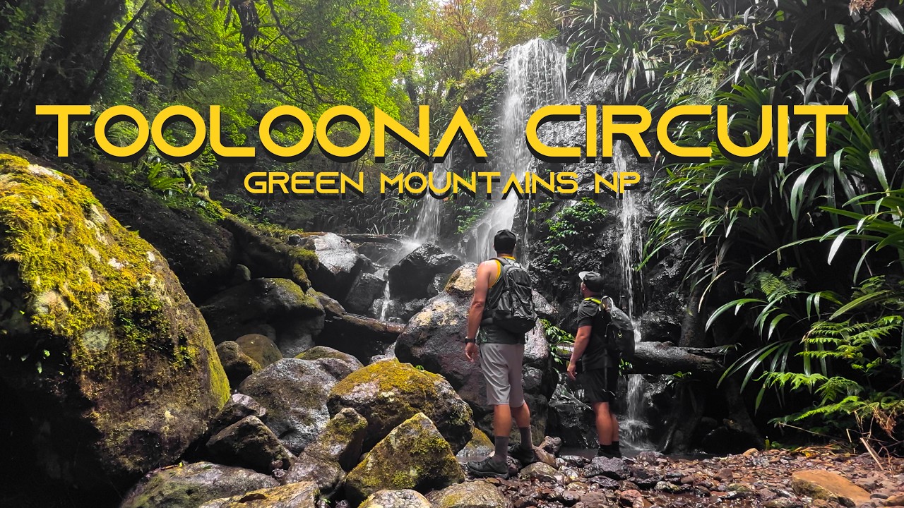 Tooloona Circuit – Green Mountains | Lamington National Park - Summer 2026