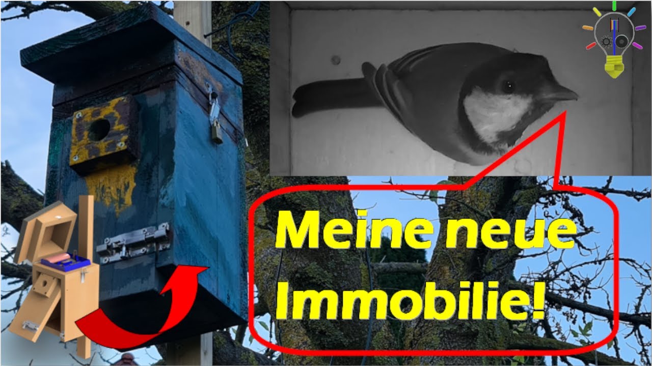 Nistkasten mit Kamera selbst gebaut