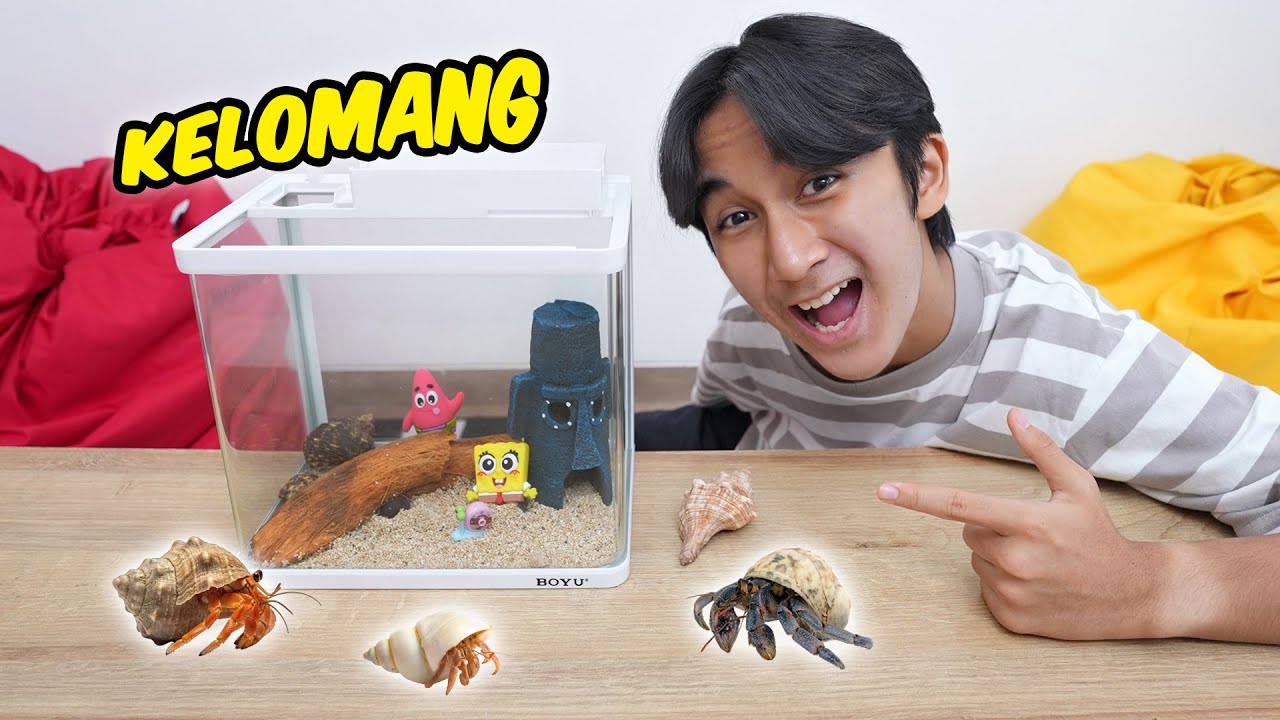Ziyan Pelihara Kelomang BANYAK BANGET