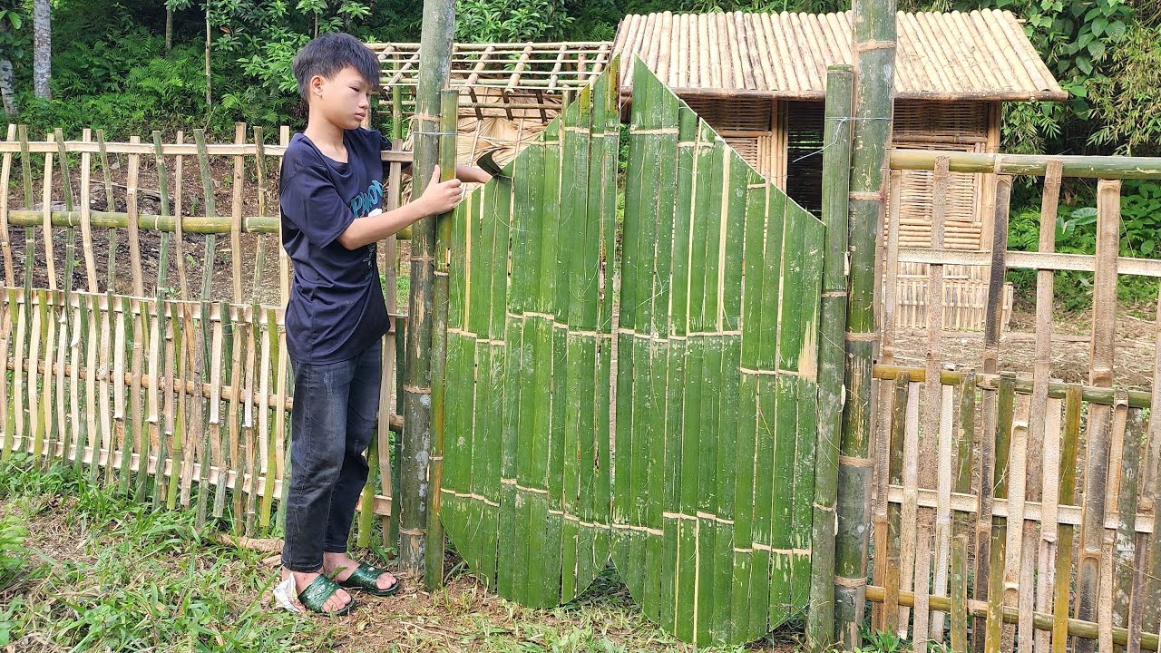 TIMELAPSE:Living in the wild, let's see how an orphan boy builds a bamboo house and survives?