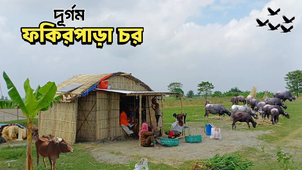 যমুনার দূর্গম জনপদ ফকিরপাড়া চরের মানুষের যাপিত জীবনের গল্প।