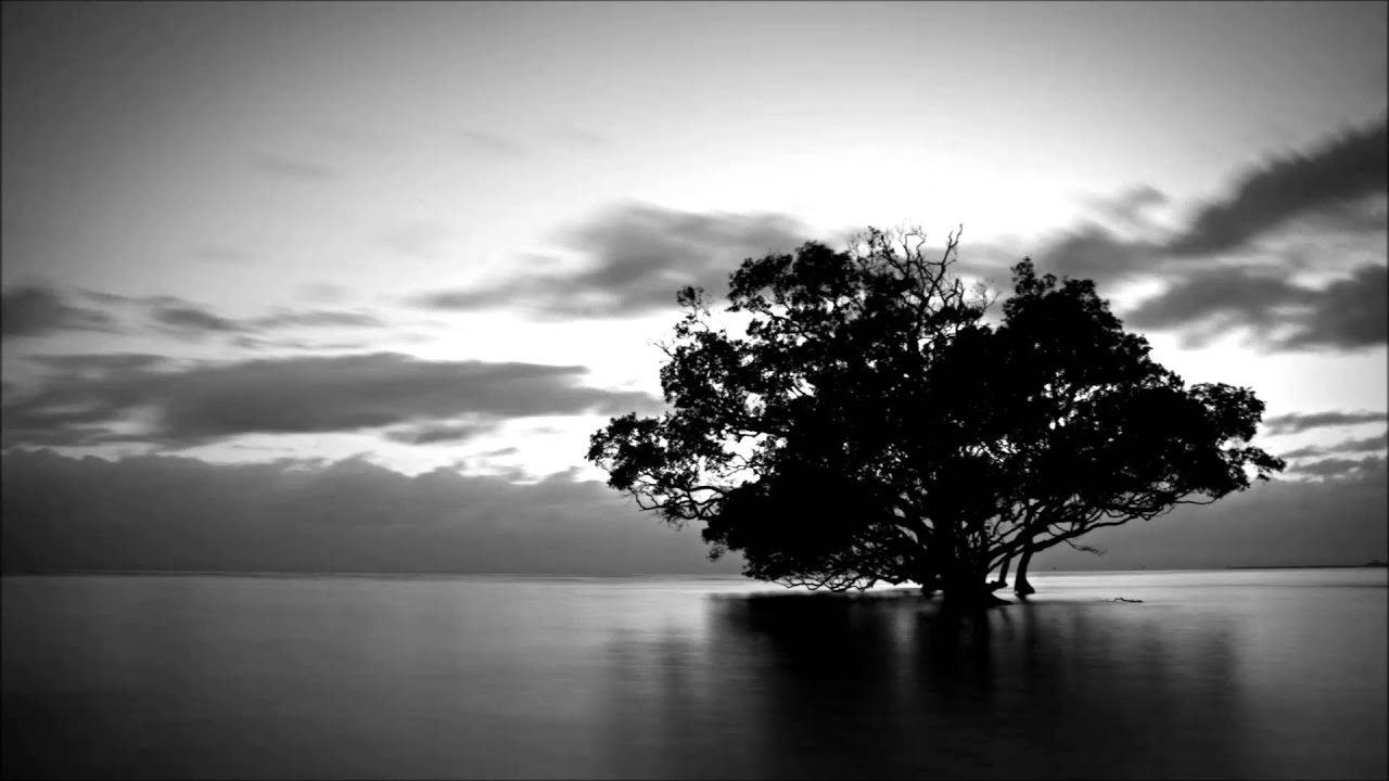 Bach - toccata in d-moll - Glenn Gould