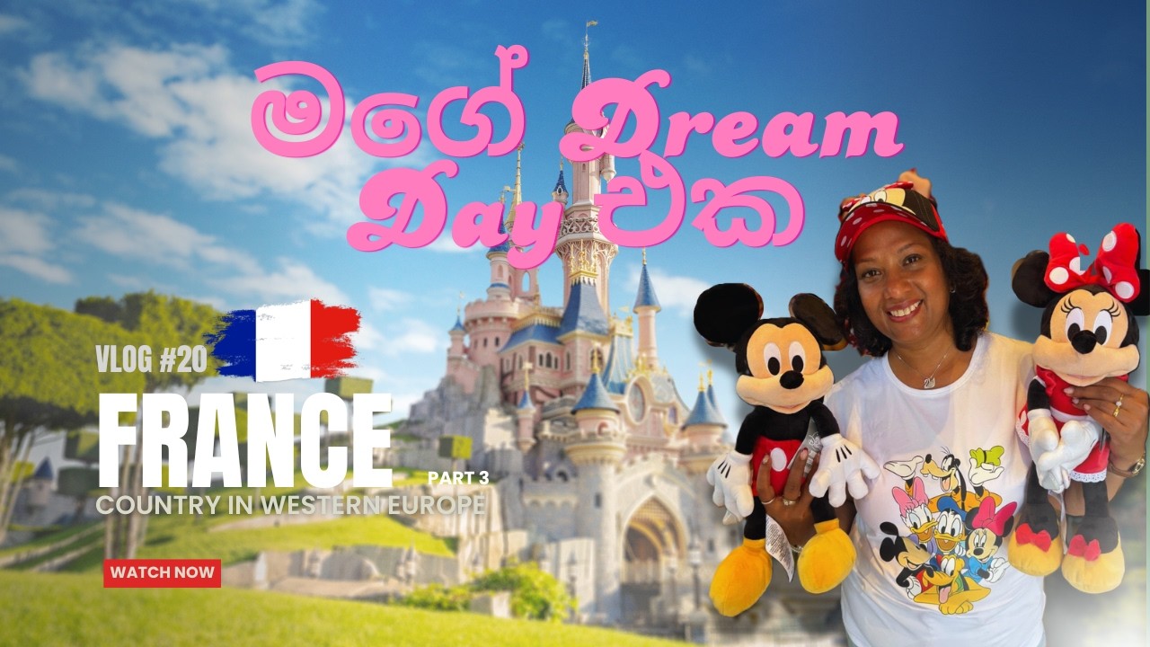 ප්‍රංශයේ Disneyland එකේ රවුමක්  | Tour of  France | Vlog 20 - Part 3