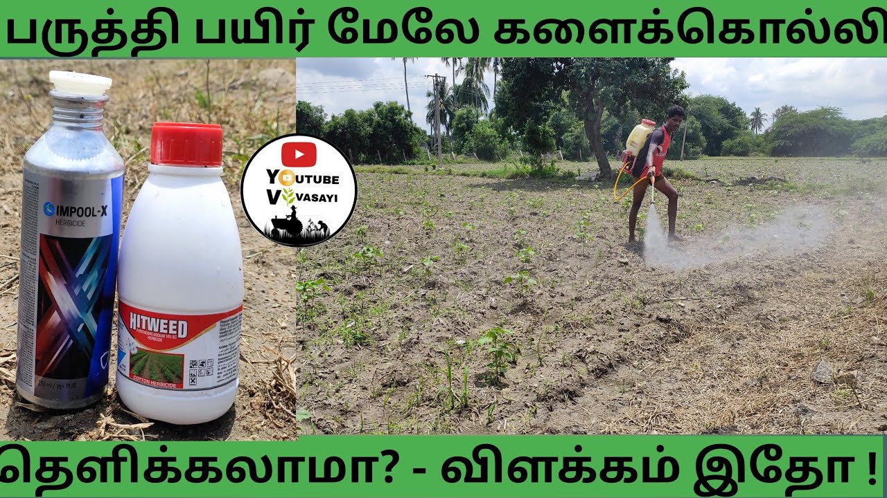 பருத்தி பயிர் மேலே அடிக்க கூடிய களைக்கொல்லி -ஹிட்வீட் +இம்பூல் எக்ஸ் -டெமோ-யூடியூப் விவசாயி விளக்கம்