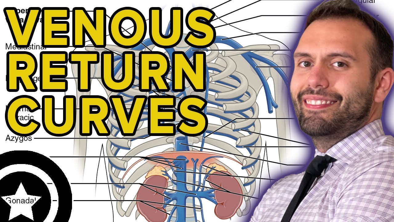 Venous Return Curves | HIGH-YIELD CARDIOLOGY | USMLE STEP 1