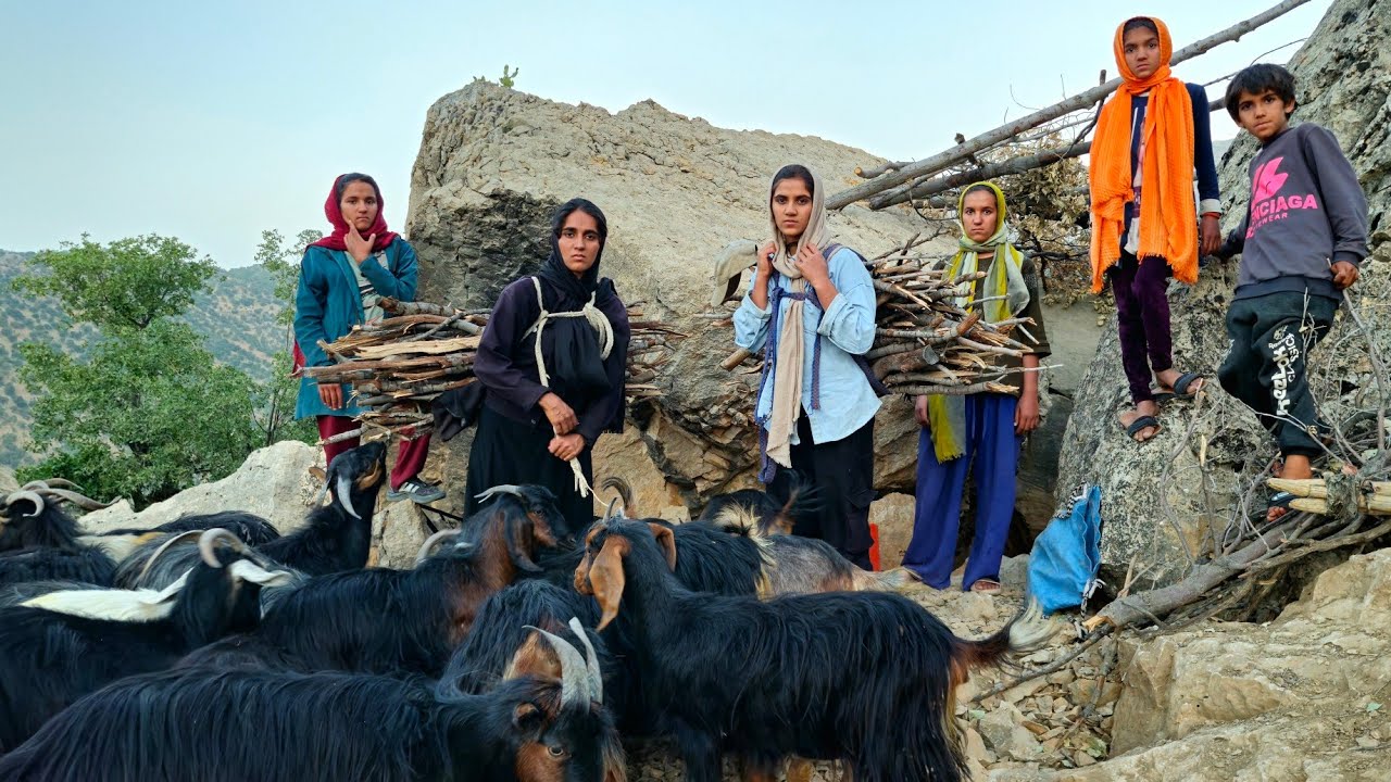 Nomadic Life in Zagros: Cave Life, Firewood Gathering & Sheep Herding for Survival!🏔