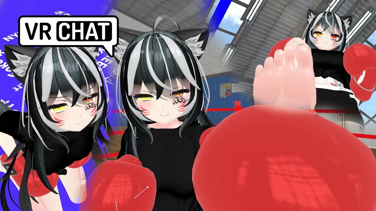 Cat Visit🐈 VRchat POV BOXING
