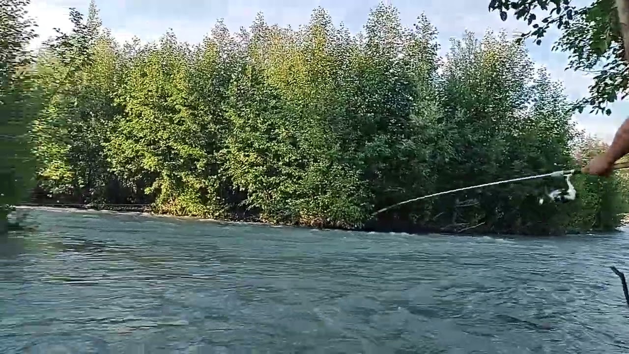 Salmon Fishing