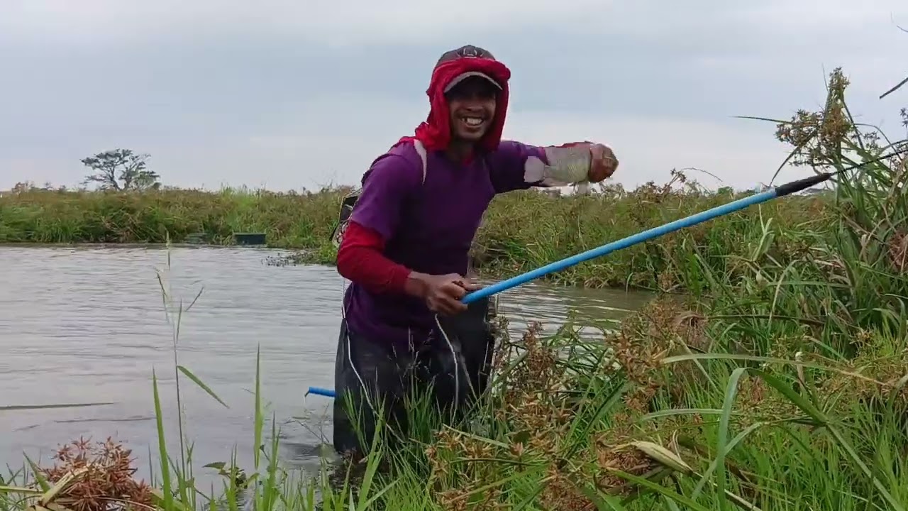 EP,127, electric fishing panalo mga mamaw na tilapia sa bagong spot 🐟🌾
