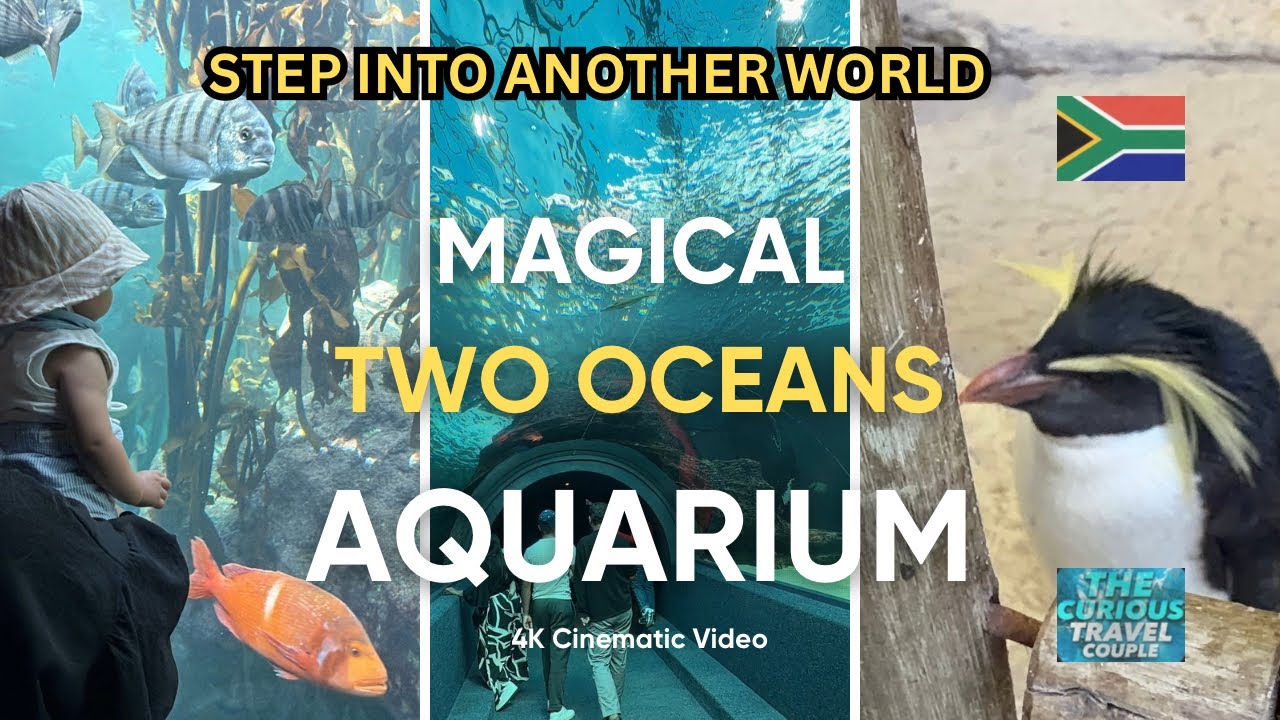 Two Oceans Aquarium Cape Town South Africa 2026✨🇿🇦 Ultimate Walkthrough