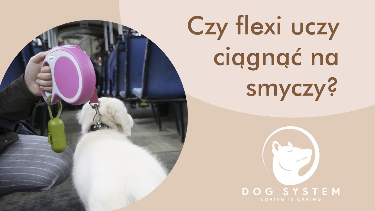 Spacer z psem na Flexi - obalamy mity!