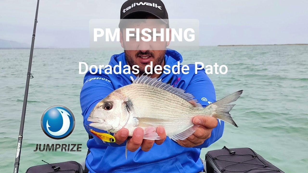 🐟COMO pescar ĎORADAS desde PATO/ Varias Especies!! SPINNING Delta del EBRO (teorico practico)