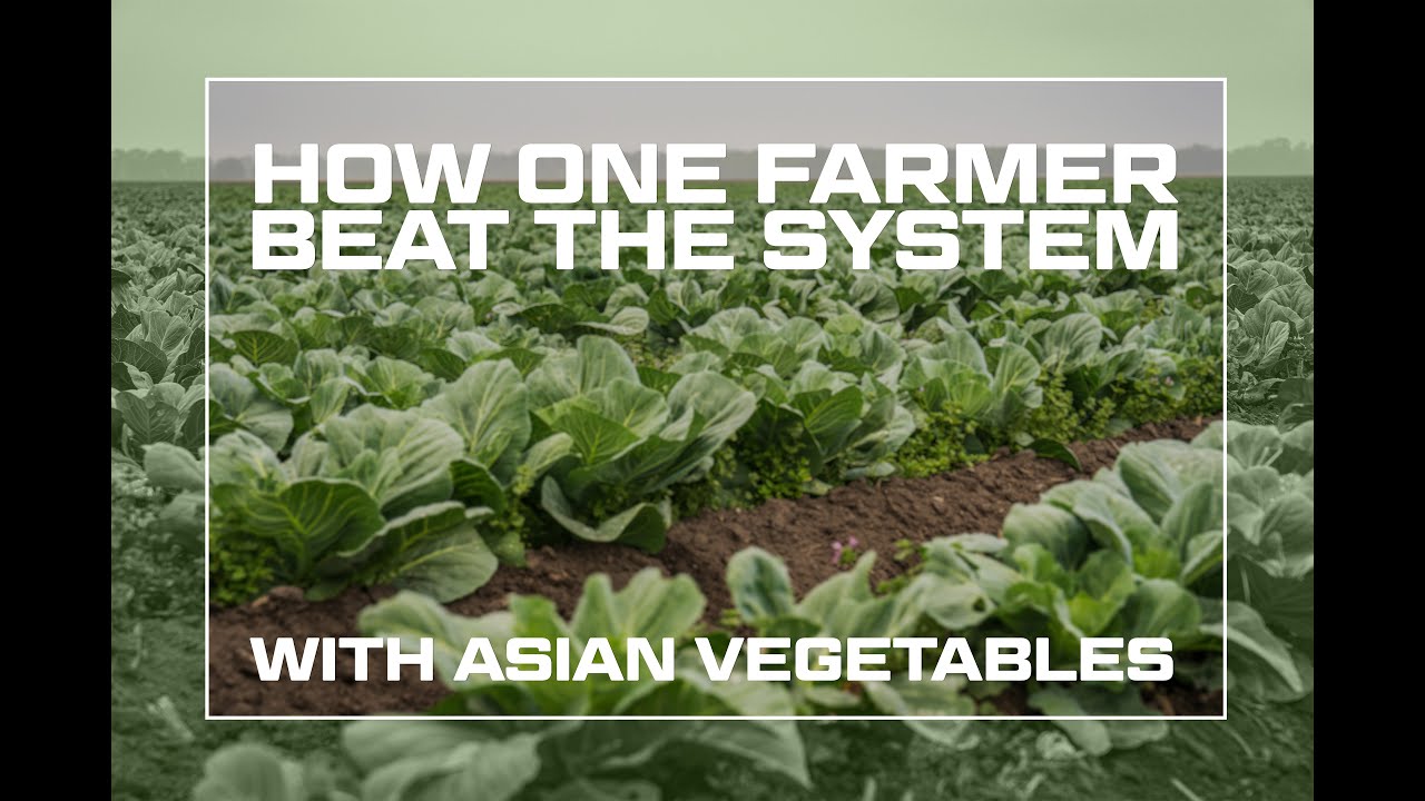 Why Most Farmers Struggle and How One Farmer Beat the System with Asian Vegetables