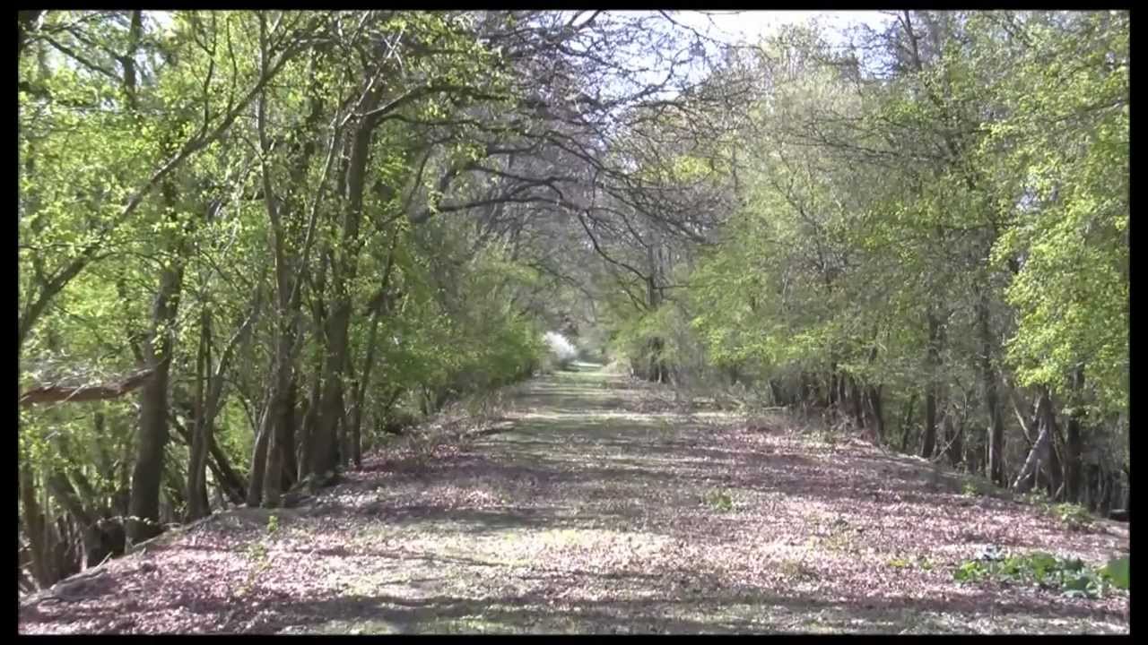 50 years after closure -  Sheffield Park to Lewes