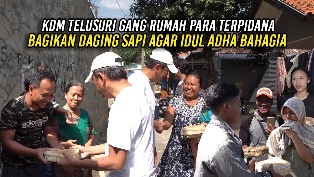 KDM TELUSURI GANG RUMAH PARA TERP1DANA | BAGIKAN DAGING SAPI AGAR IDUL ADHA BAHAGIA