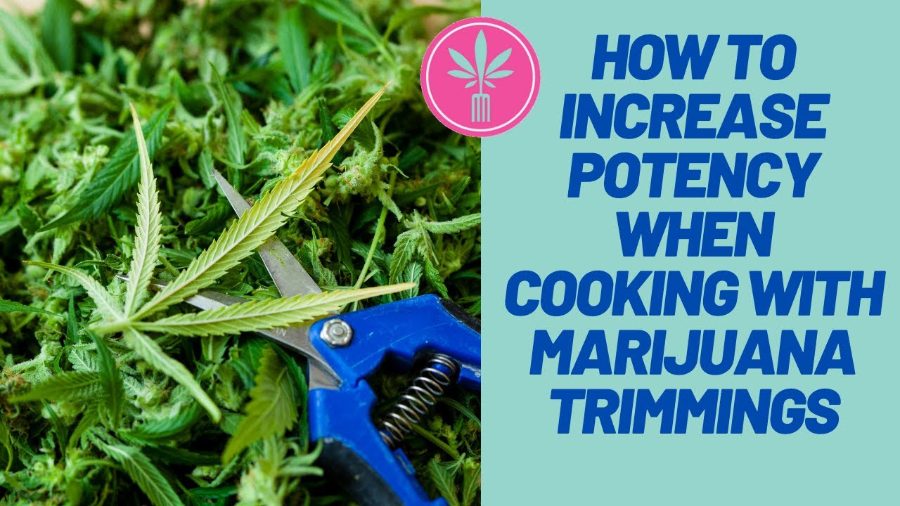 Potency of Cannabis Trim | Cooking with Cannabis Trimmings