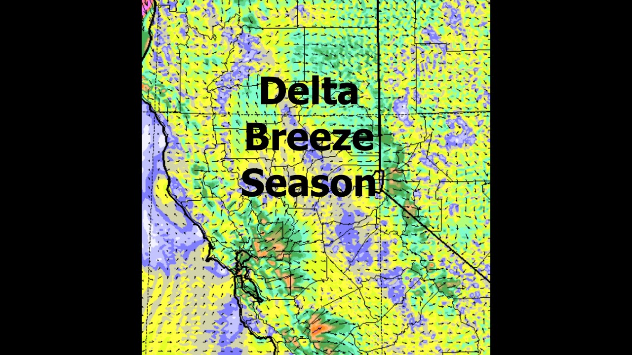 It's Delta Breeze Season! The Morning Briefing 6-16-26