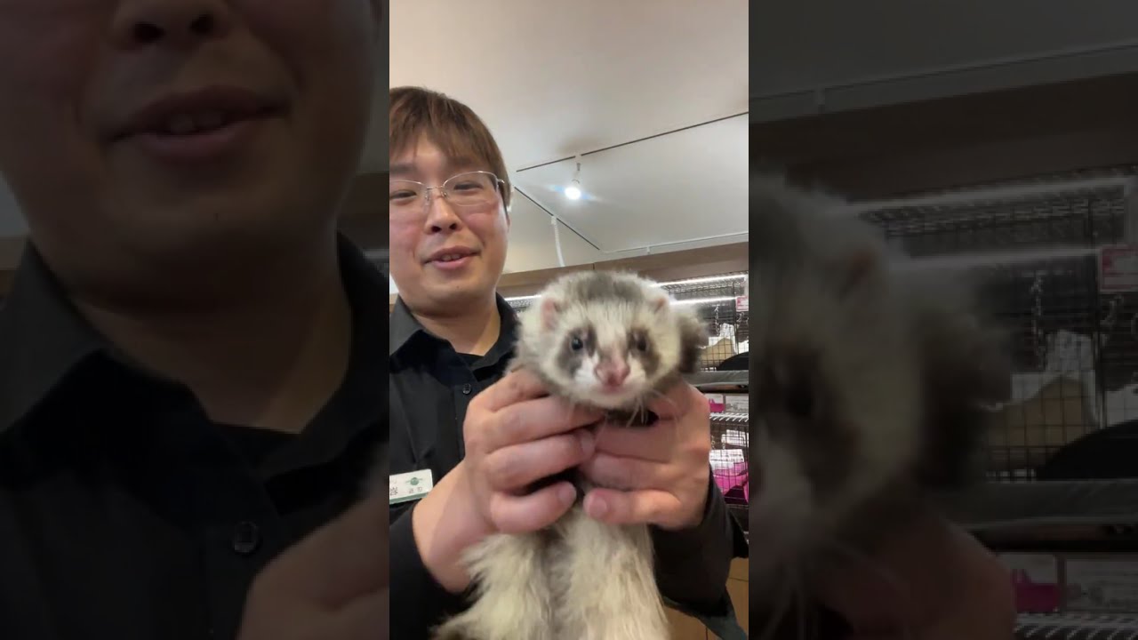 2026.1.23 インスタライブ 幕張店