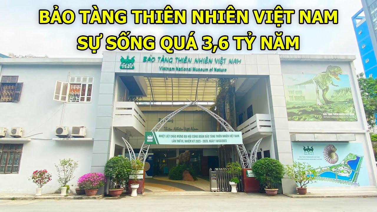 BẢO TÀNG THIÊN NHIÊN VIỆT NAM - Sự sống qua 3,6 tỷ năm