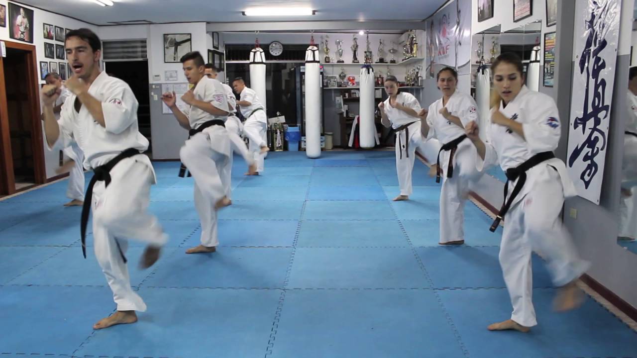 KWF Kyokushinkai Karate Advanced Master Class with Sensei Mauricio Alvarado