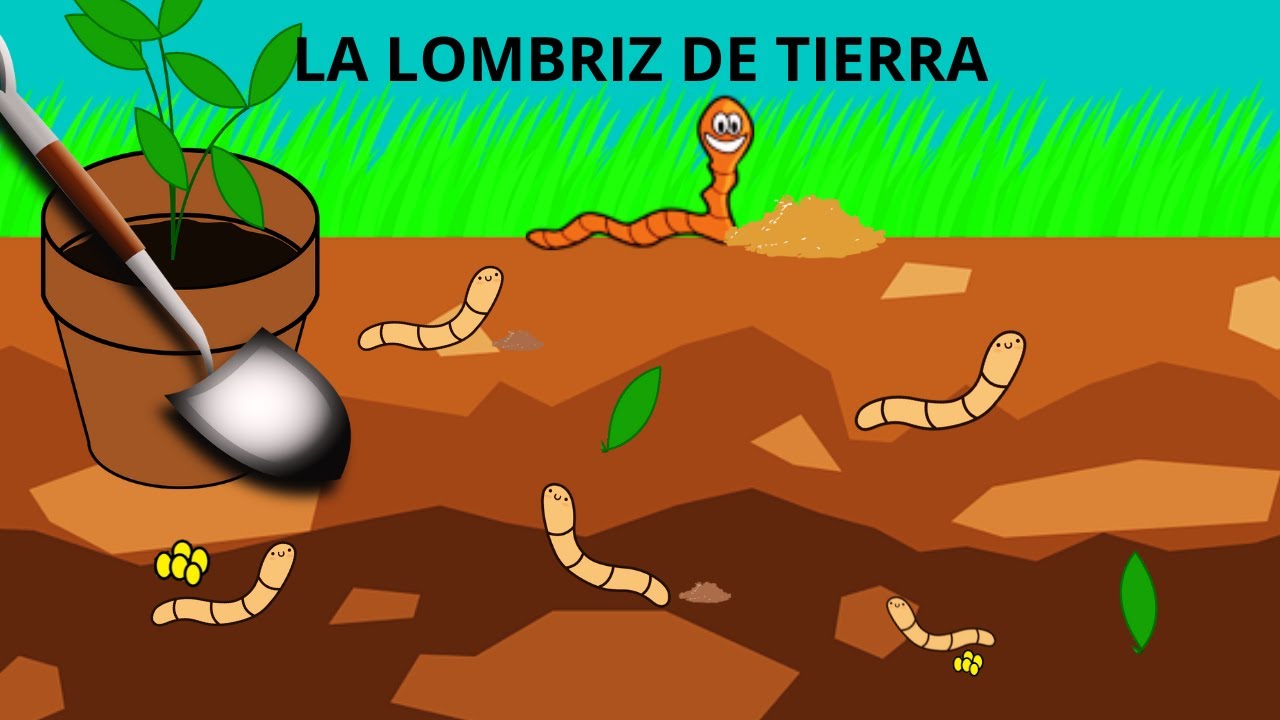 LA LOMBRIZ DE TIERRA PARA NIÑOS/ LA LOMBRIZ/ TODO SOBRE LA LOMBRIZ DE TIERRA EN ESPAÑOL PARA NIÑOS