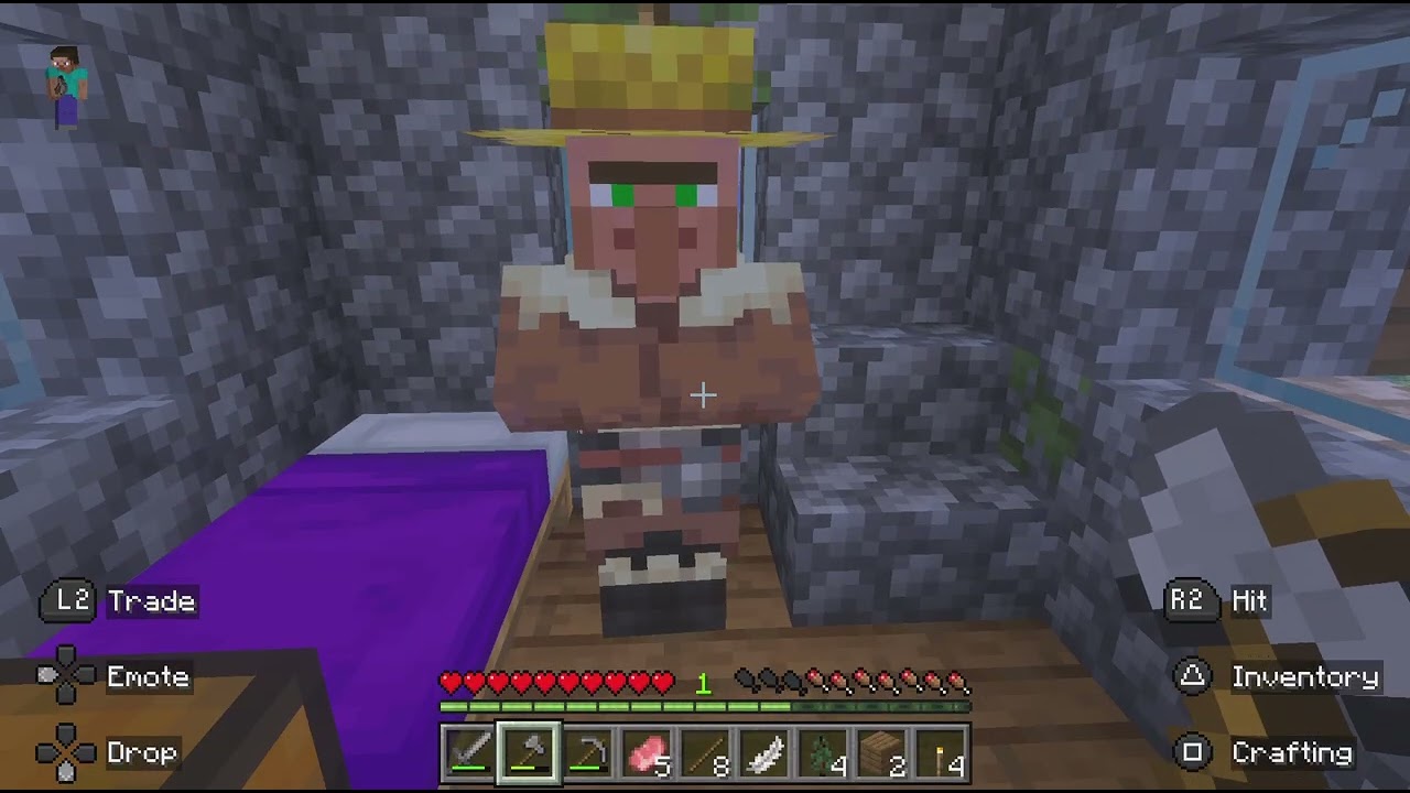 Minecraft survival