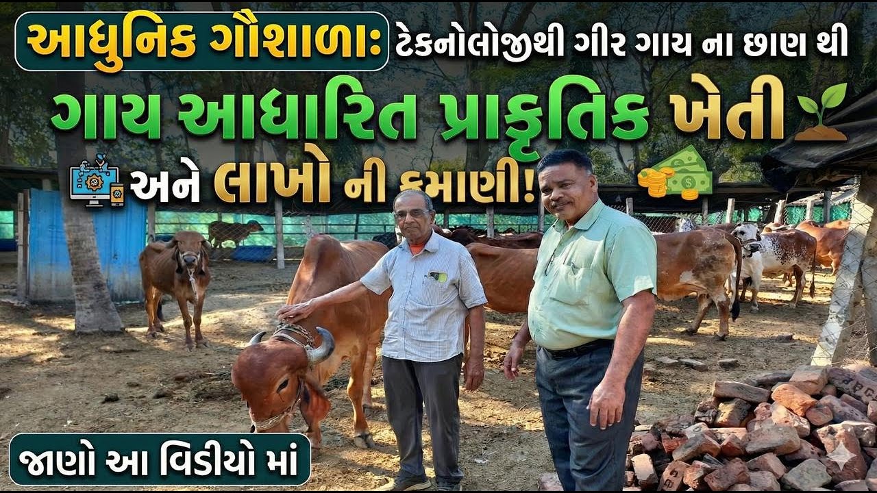 ગાયના છાણથી લાખો કમાવવાનું રહસ્ય | ગૌશાળા અને પ્રાકૃતિક ખેતી | સુરભિ ગીર ગૌશાળા, ઝંખવાવ
