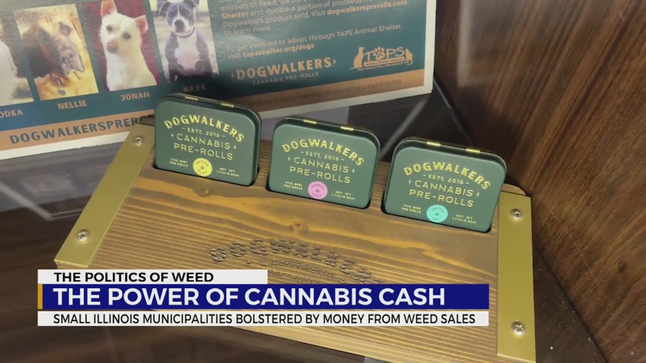 The power of cannabis cash