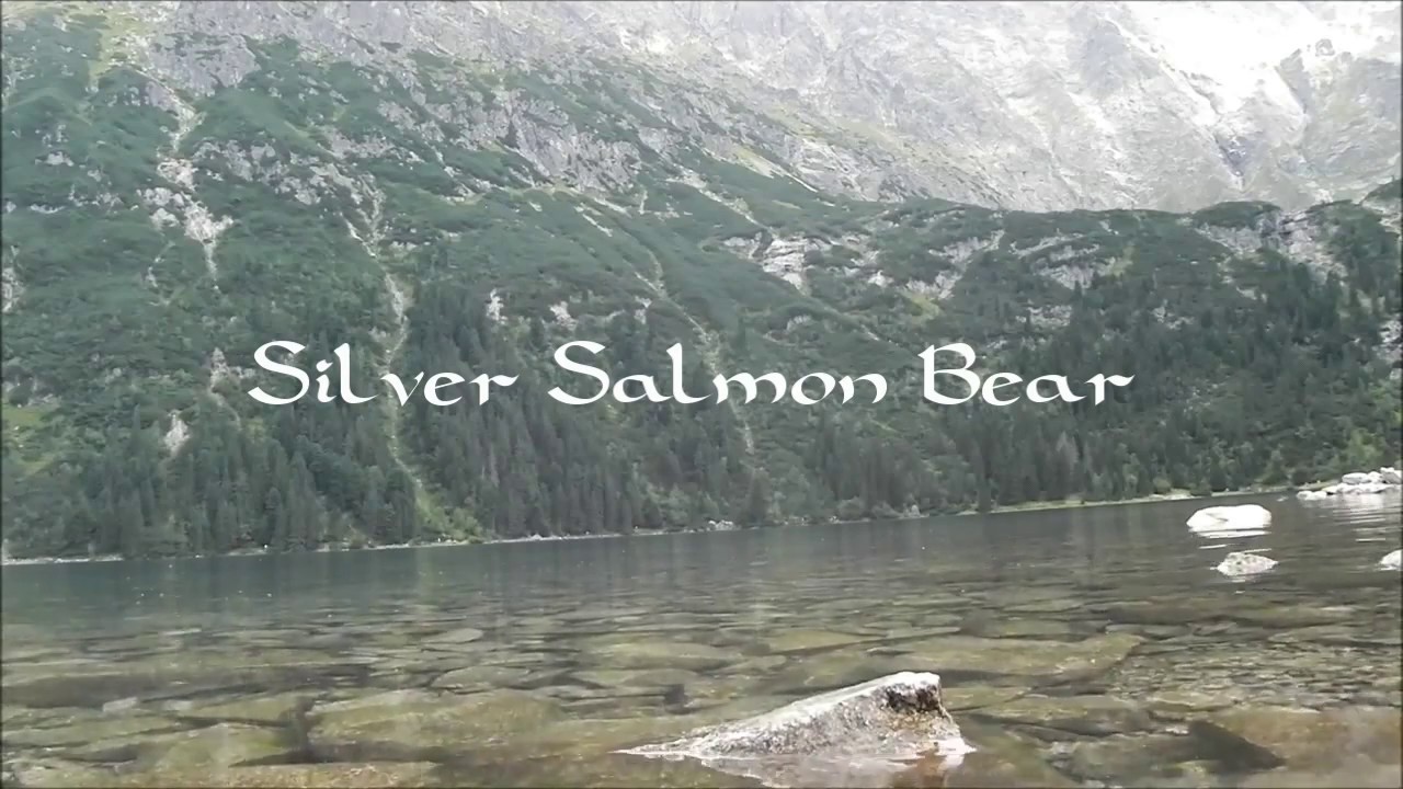 🎵 🌸 Carlos Nakai & Various Artists - 1 Hour of Native American Flute with Birds Sounds - Spring #2