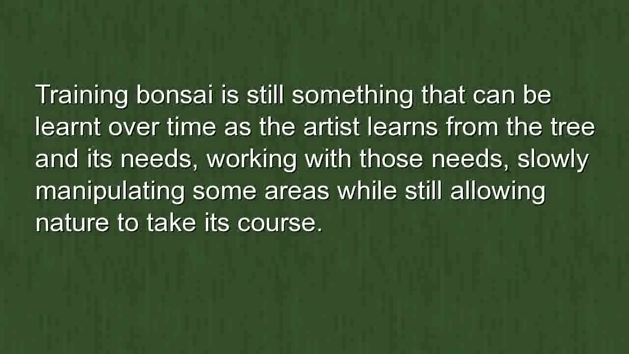 Training Bonsai