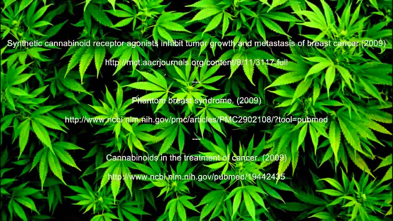Cannabis Research   Breast Cancer   Cannabinoid Studies