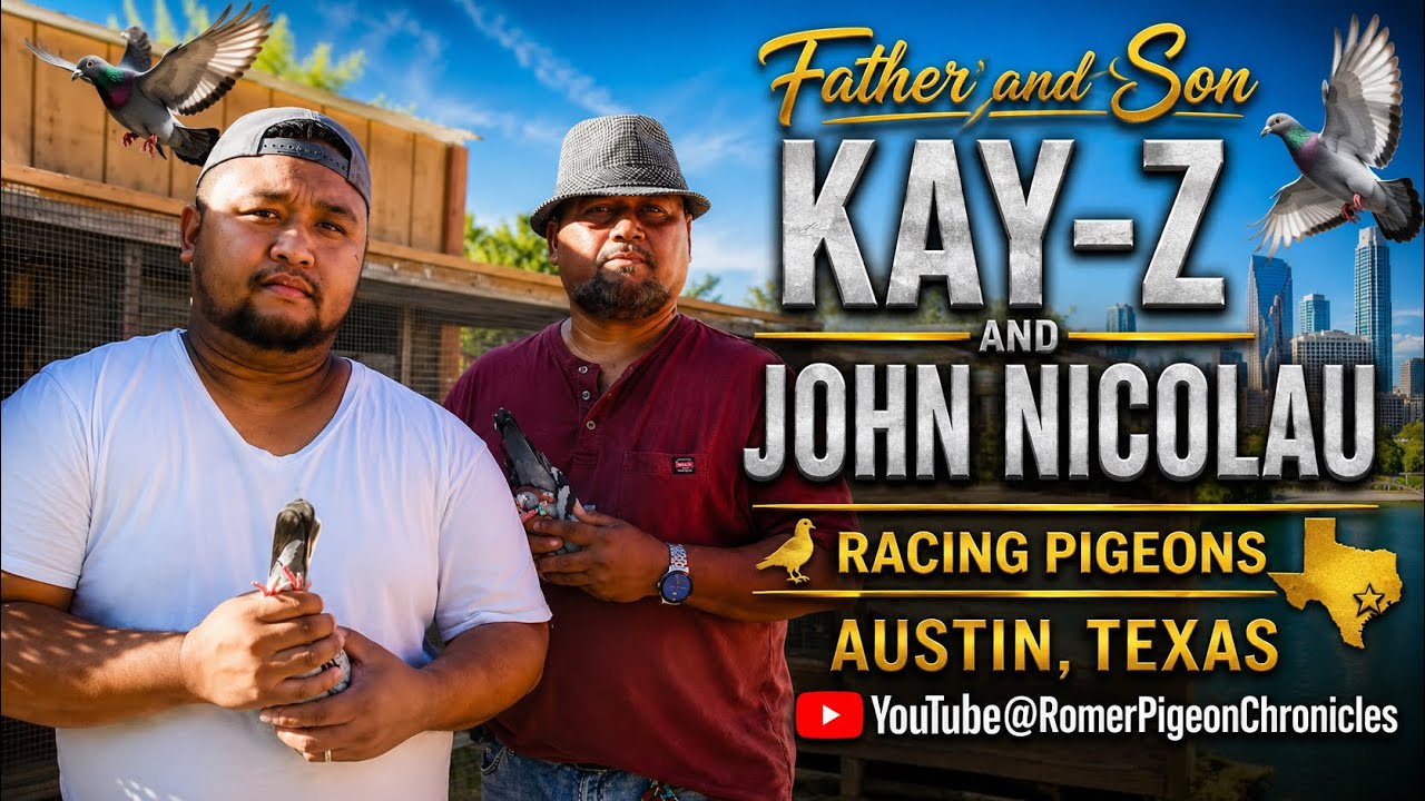 Pigeon Racing - Filipino Racing Pigeon Fanciers Loft Visit with Kay-Z Nicolau of Kyle Texas USA