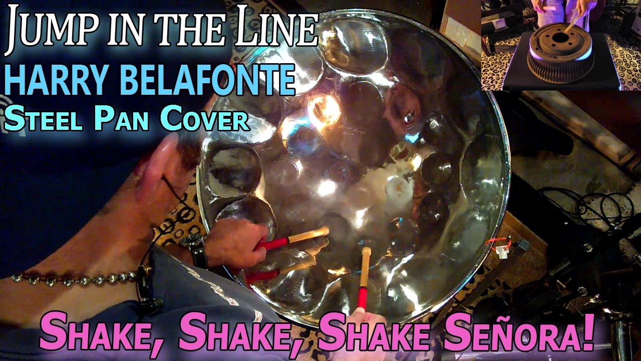 Steel Drum - Harry Belafonte Jump in the Line (Shake, Senora) by Dano's Island Sounds