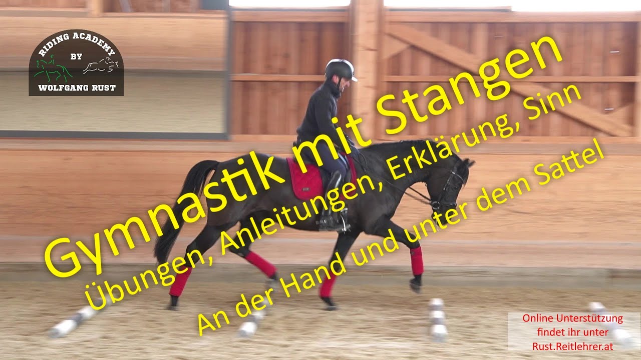 S11 Stangenarbeit an der Hand und unter dem Sattel, Abstände, Linien, Übungen, Gymnastik für Pferde