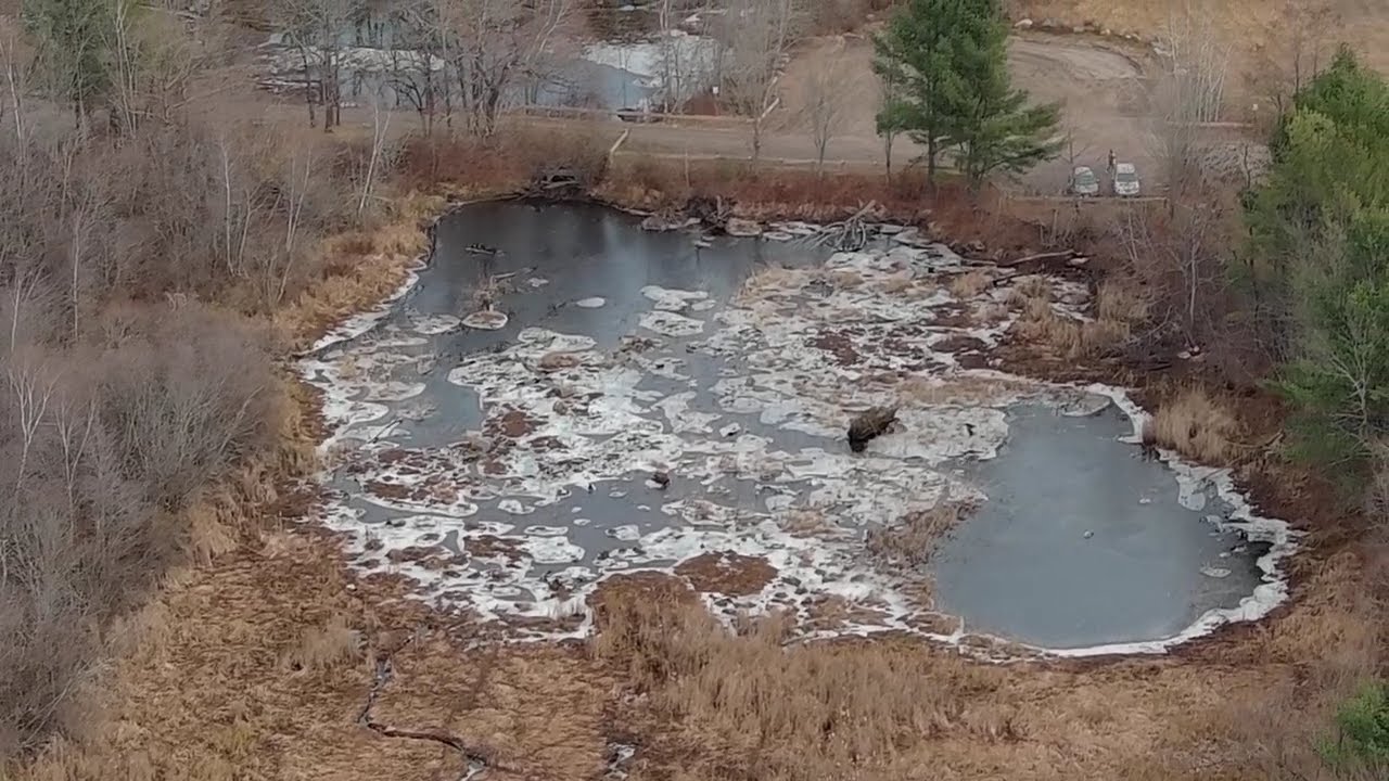 Late Fall Flight Over The River