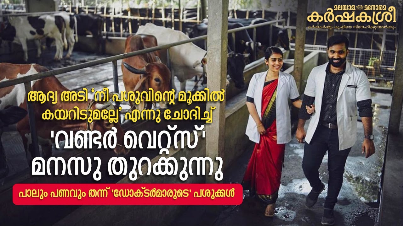 ആദ്യ അടി ‘നീ പശുവിന്റെ മൂക്കിൽ കയറിടുമല്ലേ’ എന്നു ചോദിച്ച് - 'വണ്ടർ വെറ്റ്സ്' മനസു തുറക്കുന്നു