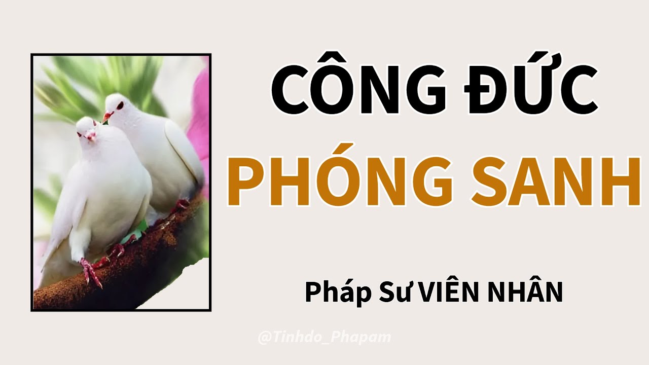 CÔNG ĐỨC PHÓNG SANH Trọn bộ | Rất Quý |  Pháp Sư Viên Nhân
