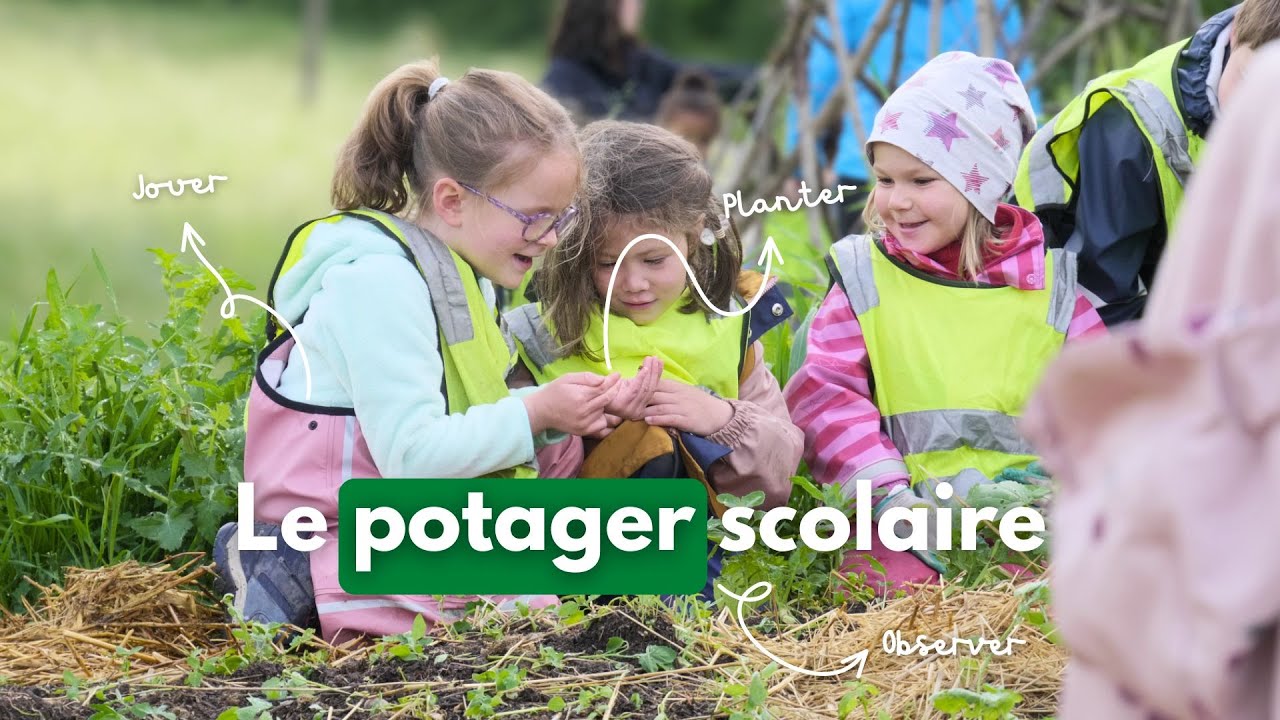 Un potager à l’école : apprendre avec la nature