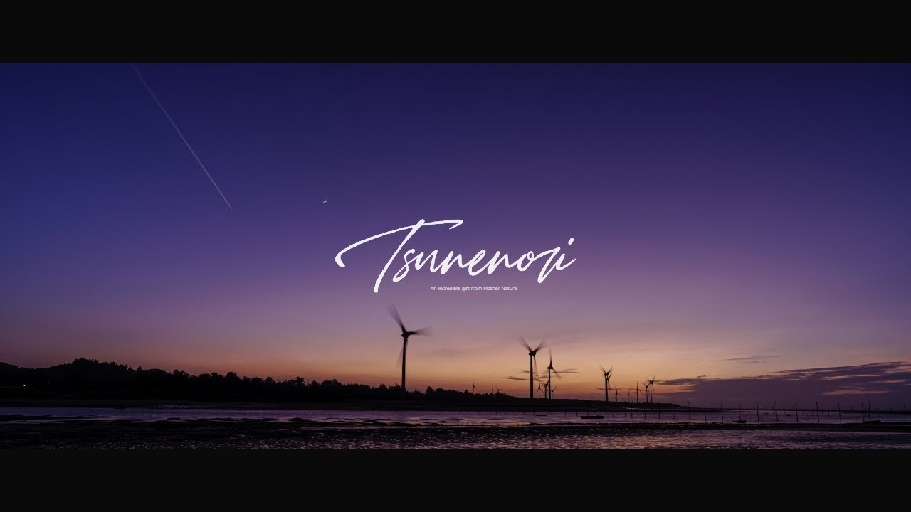 Tsunenori - Silent Miss