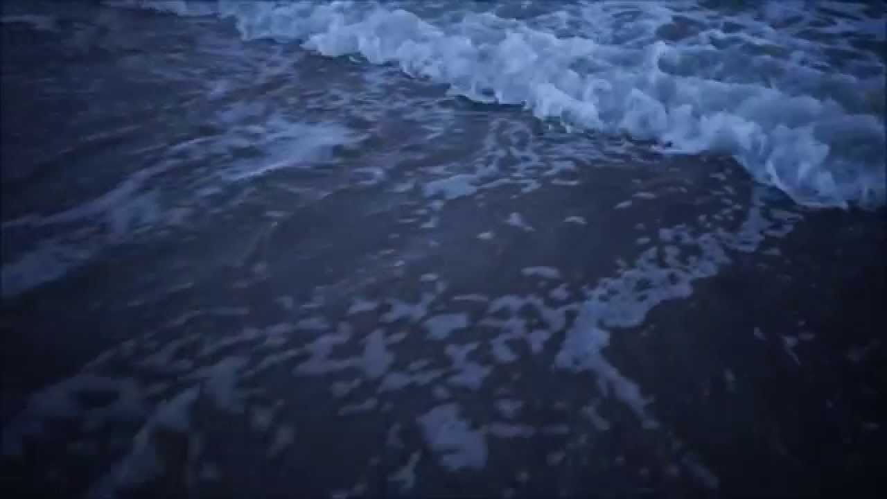 Pluramon( Marcus Schmickler - Jaki Liebezeit ) &lrm;&ndash; Tel. Bell