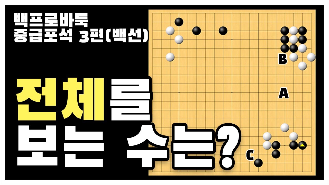 [중급포석 3편] 전체를 보는 수는?(백선)