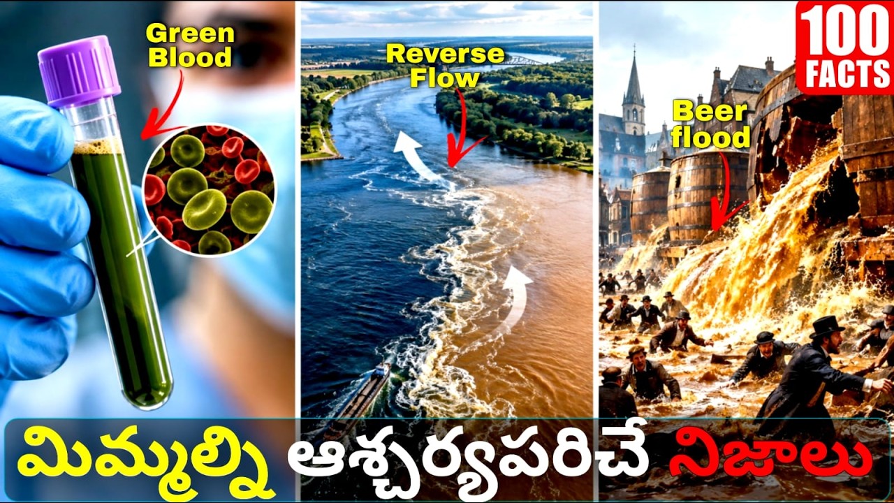 100 facts in telugu || Episode 11 || knowledge forever