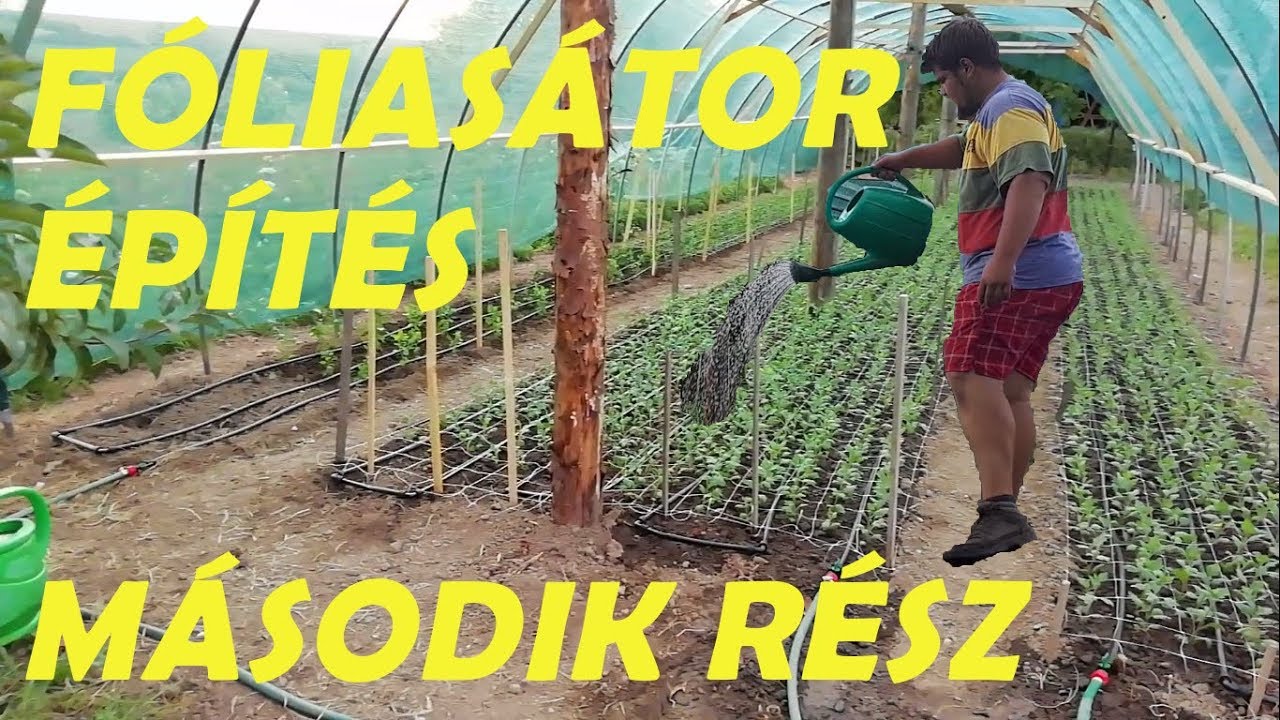 Fóliasátor építés és krizantém palántázás |MELÓ videó|