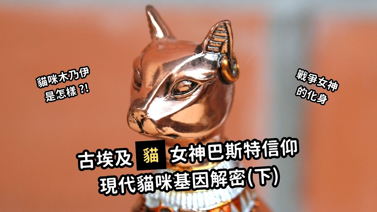 EP122 貓 🐱 古埃及戰爭女神的化身，貓咪花色基因密碼大揭秘 🐾 (下)