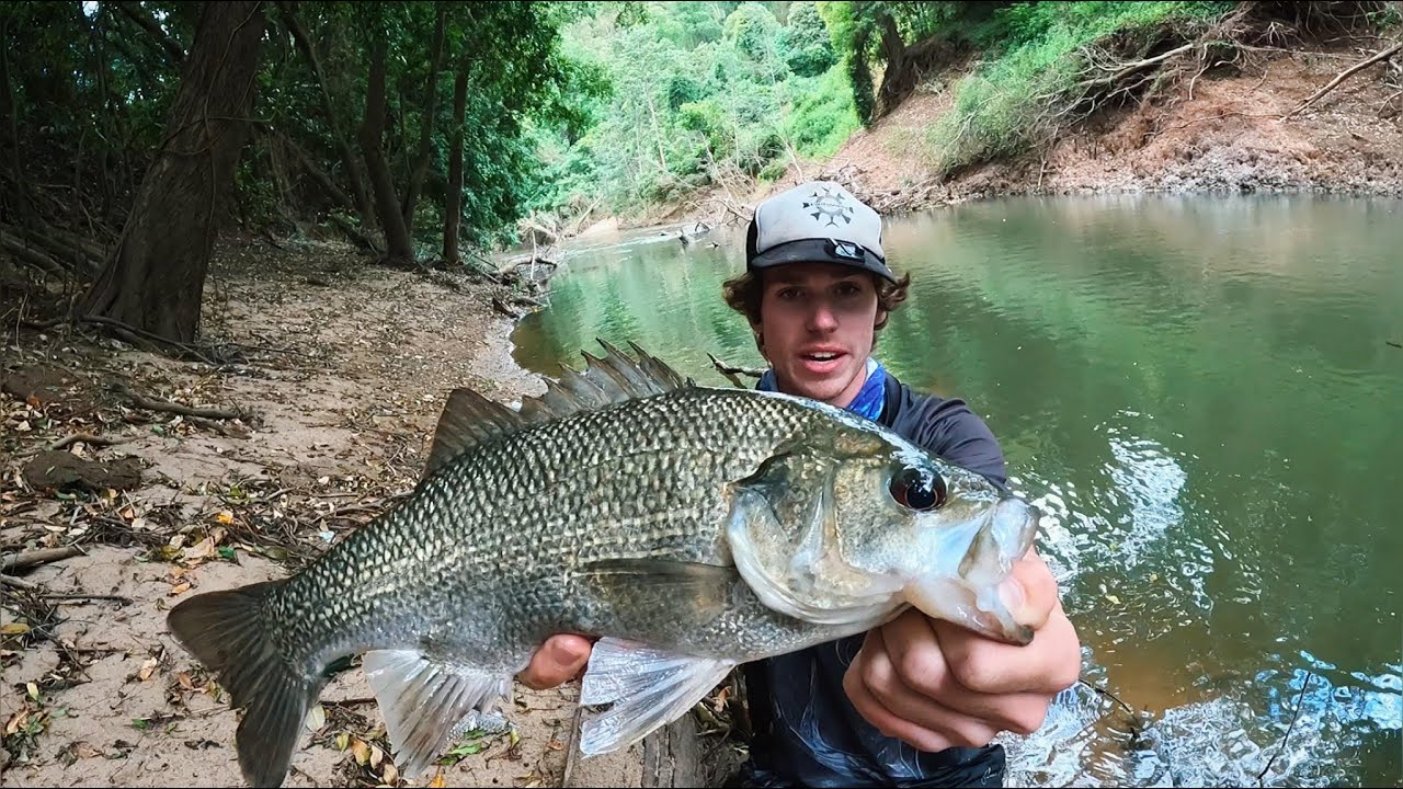 RAINFOREST AUSTRALIAN BASS FISHING - MARY RIVER FISHING ft Whiteeys fishing