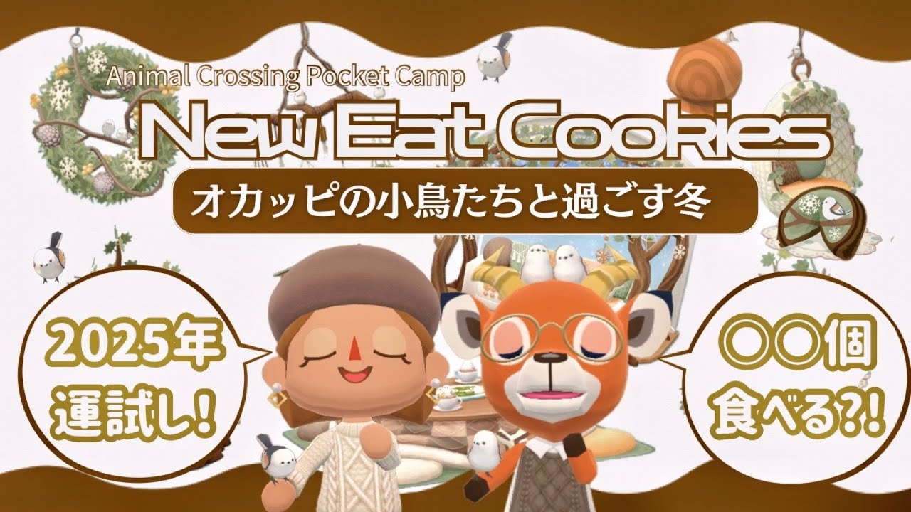 【ポケ森コンプリート】2025年運試し！オカッピの新クッキー15個食べるはずが我を忘れて爆食？！/コテージレイアウト3選