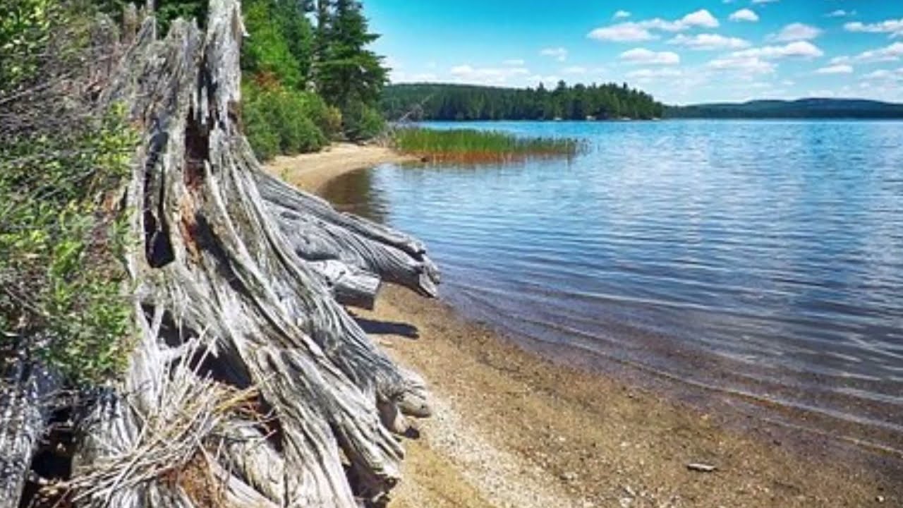 Algonquin Waltz by Earl Heywood- Mandolin & Guitar